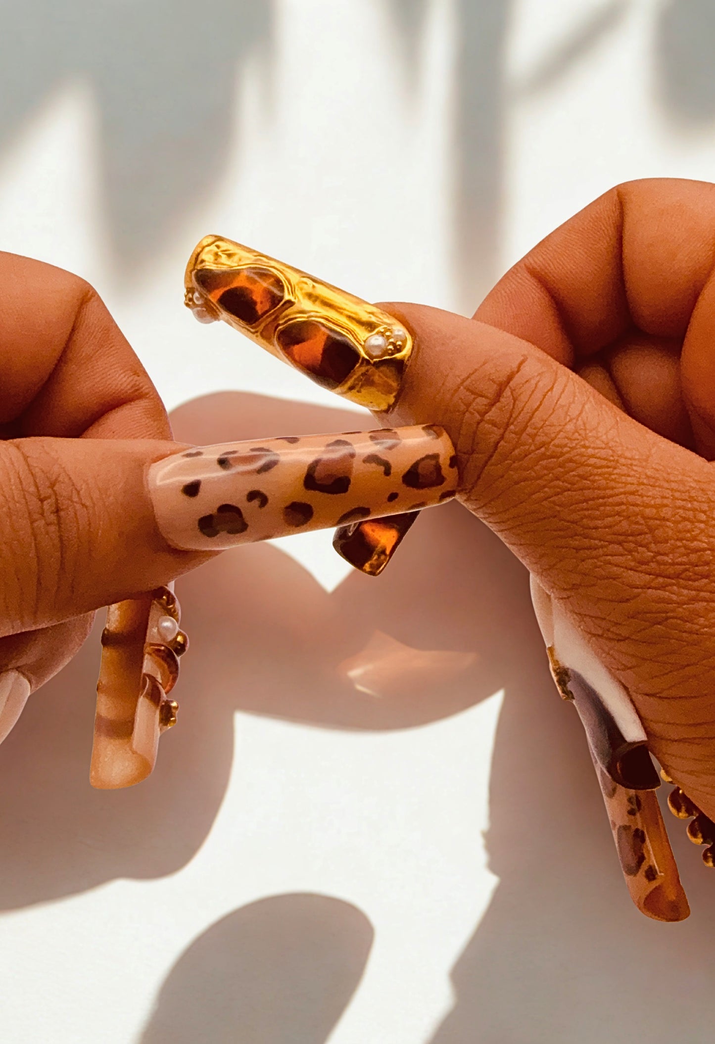Amber Dynasty